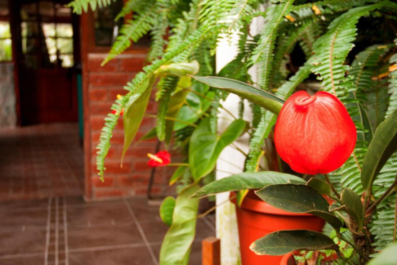El Pedron Hotel バーニョス エクステリア 写真